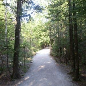 Meet your Posher, Maizie